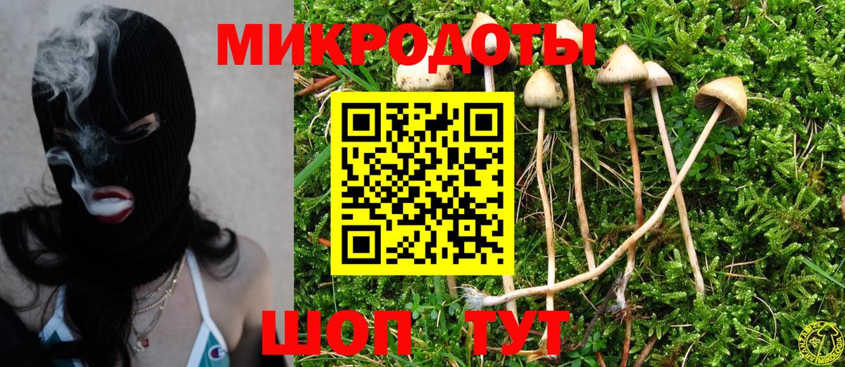 Галлюциногенные грибы GOLDEN TEACHER  Вход с VPN  Галлюциногенные грибы GOLDEN TEACHER  Реутов 